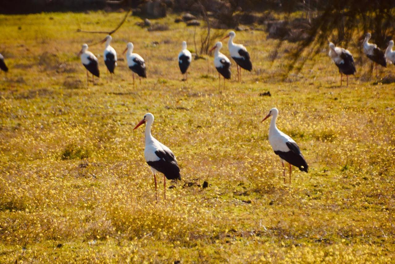 Posada Rural La Resinera Ла-Адрада Экстерьер фото