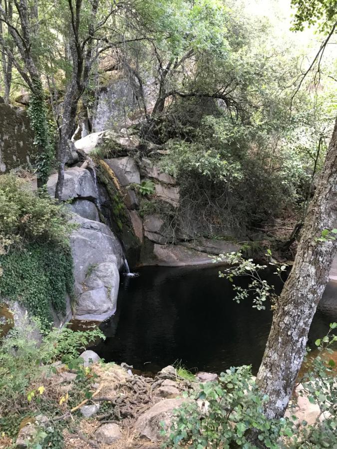 Posada Rural La Resinera Ла-Адрада Экстерьер фото